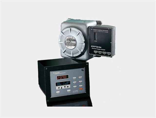 3010TA 型氧气分析仪
