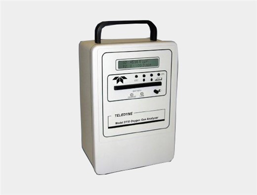 3110 型便携式微量氧测定仪