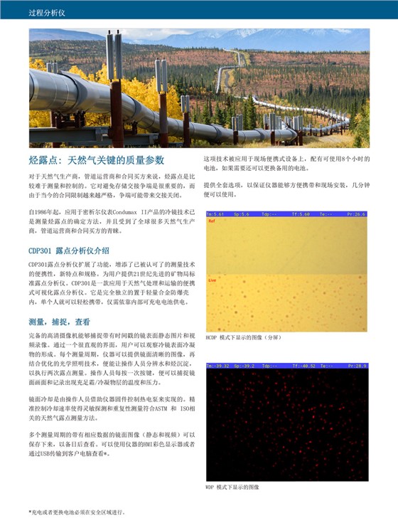 CDP301 Condumax 露点分析仪