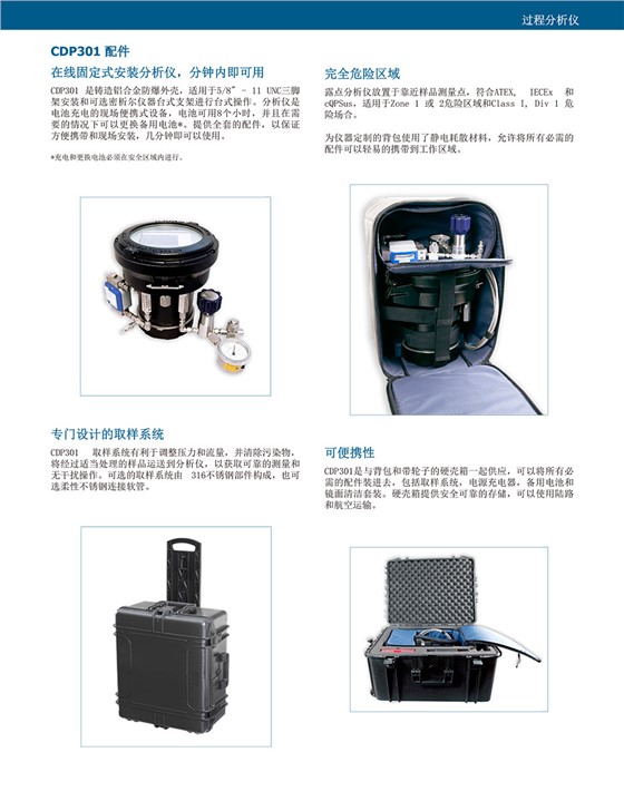 CDP301 Condumax 露点分析仪
