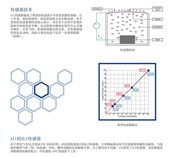 便携式氧气分析仪