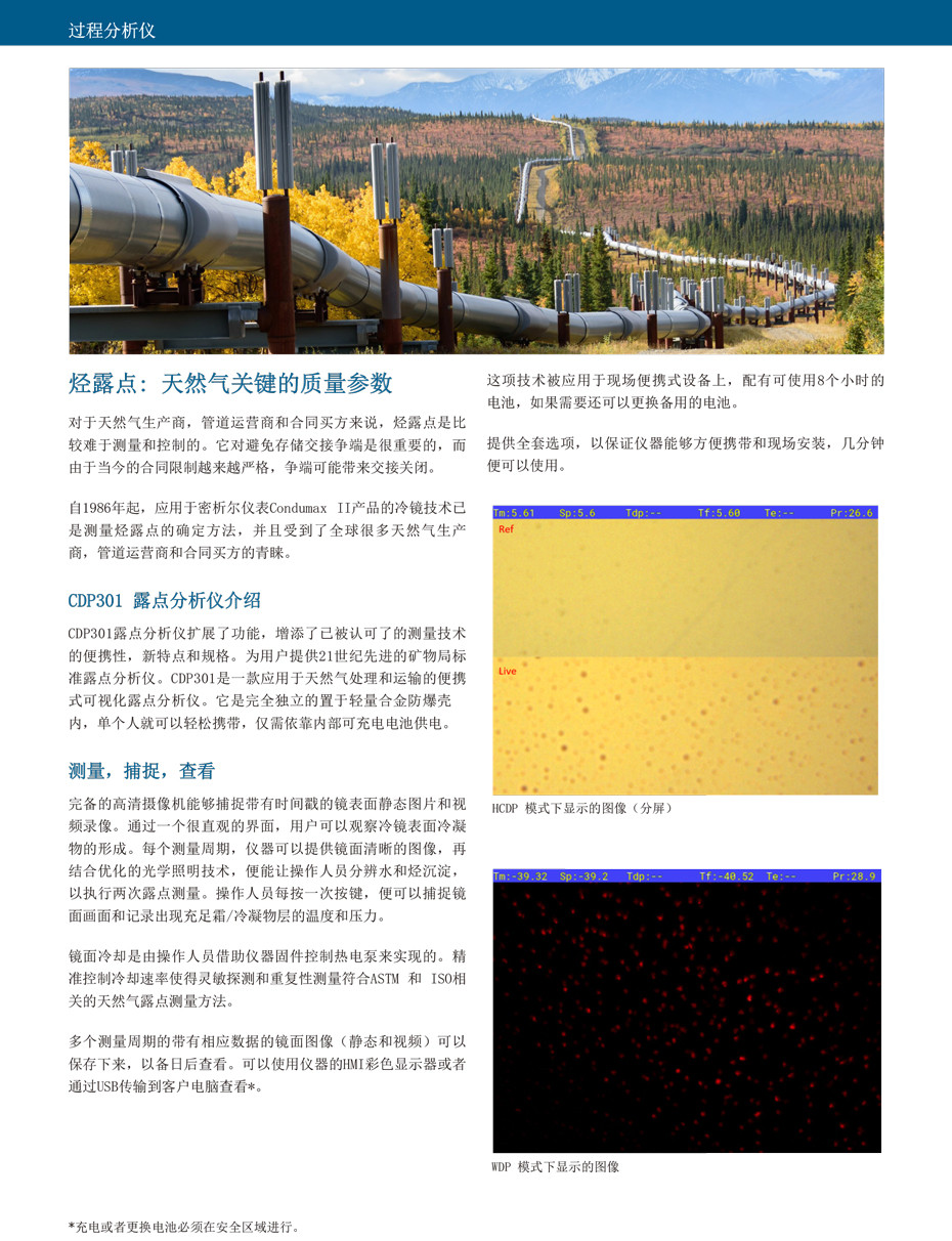 CDP301 Condumax 露点分析仪