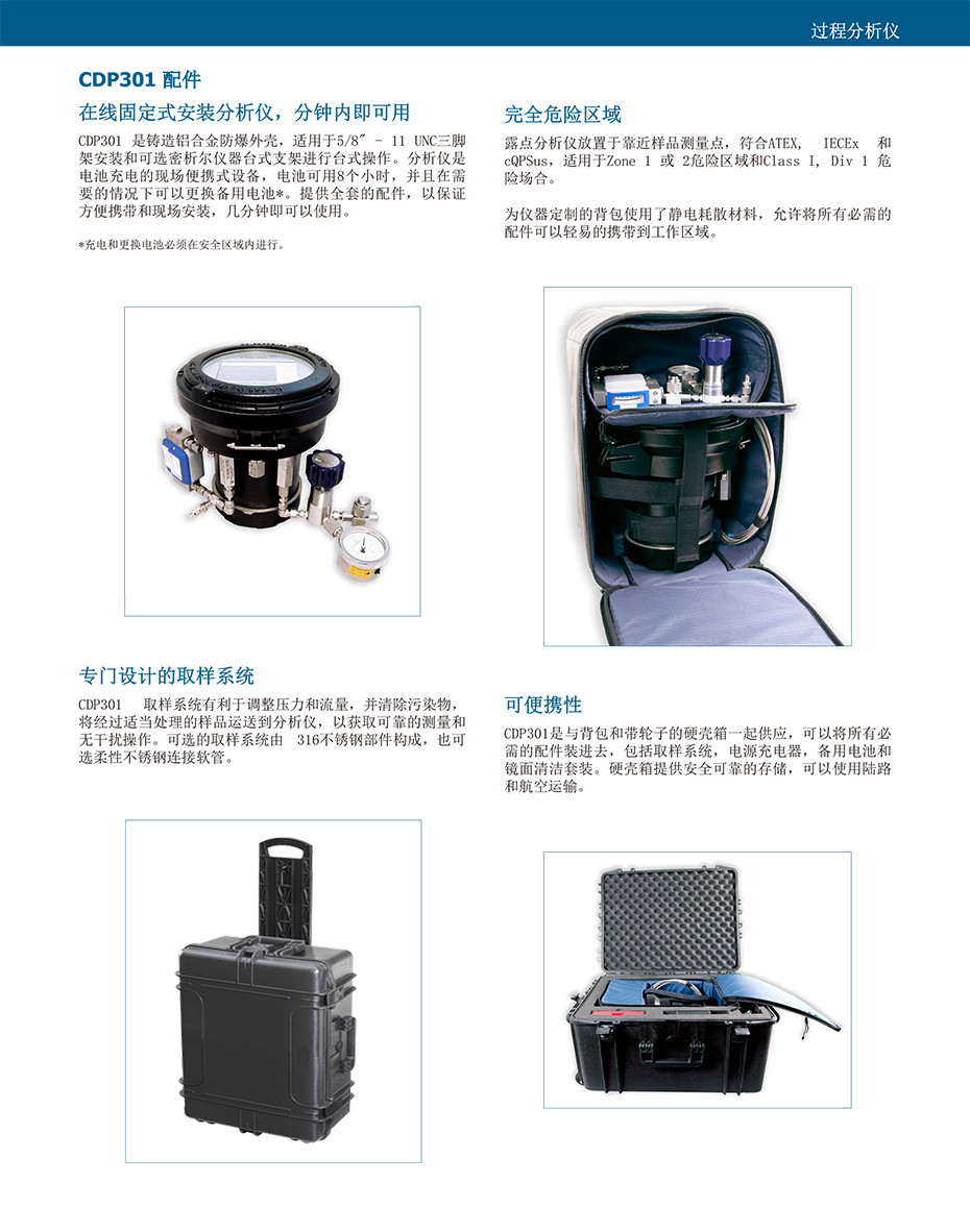 CDP301 Condumax 露点分析仪